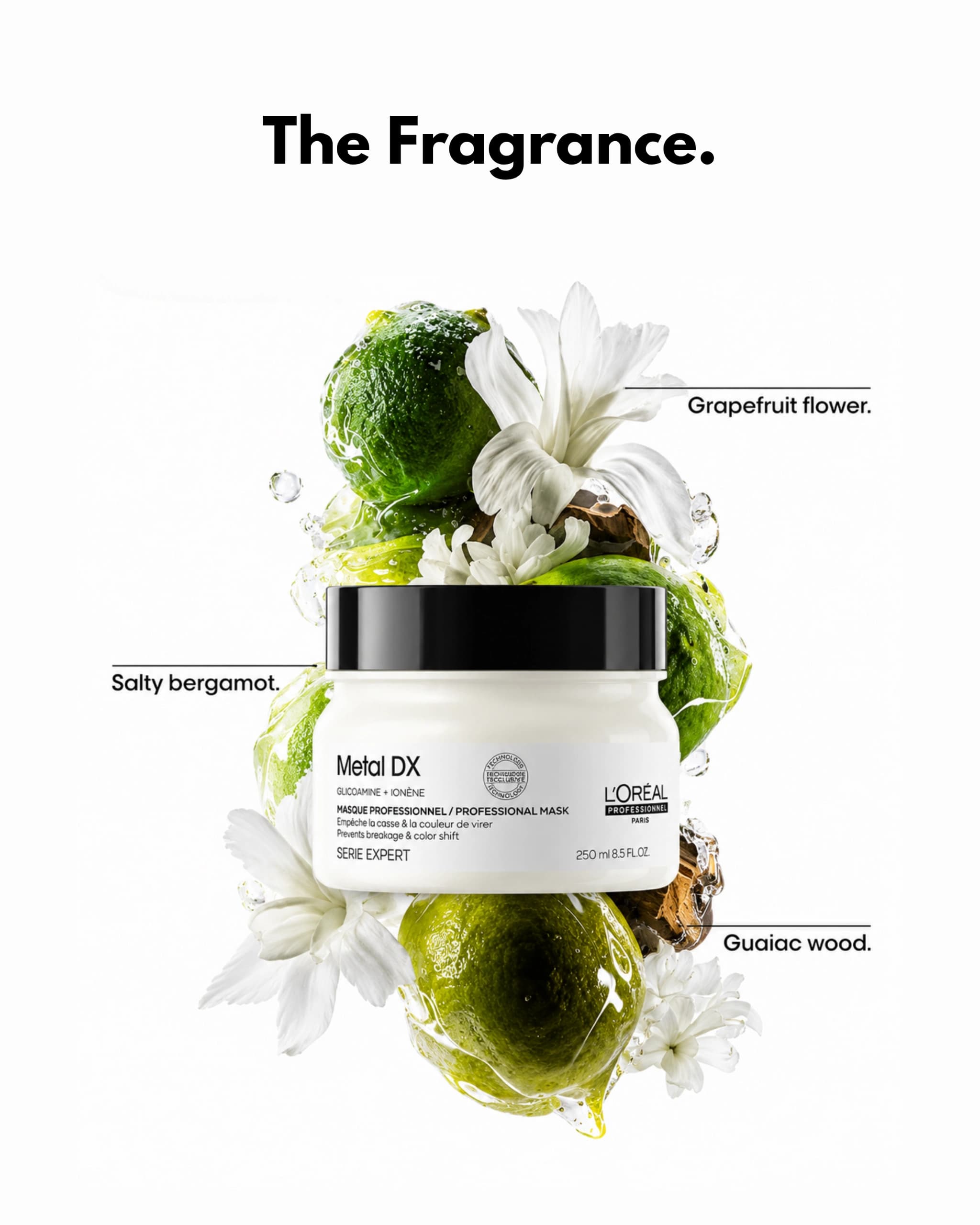 L'Oréal Professionnel-Metal DX anti-deposit protector mask gallery image 1