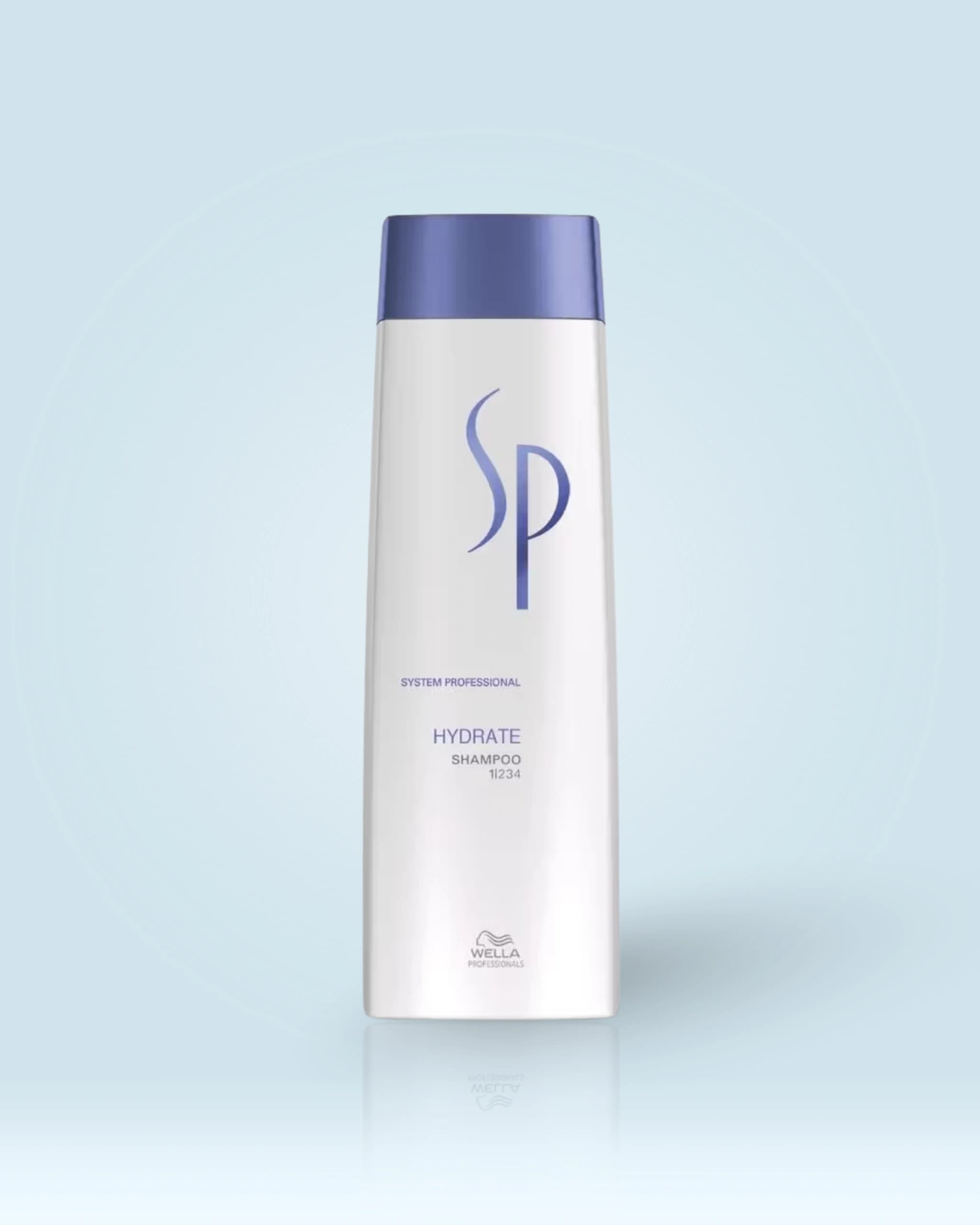 System Professional-Hydrate Shampoo for Frizzy and Dry Hair Hydrates Flaky Scalp main image